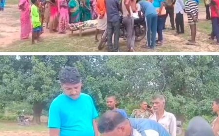 रंका: भौंरी पूर्वी वन क्षेत्र में वृद्ध महिला  क्या कर रही थी जो हाथी ने उसे पर हमला कर दिया और उसकी मौत हो गई