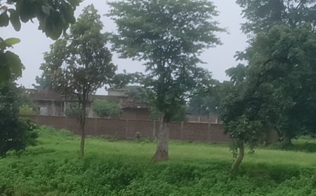 रामपुर में भूमि विवाद को लेकर दो पक्षों में हुई । मारपीट तीन घायल