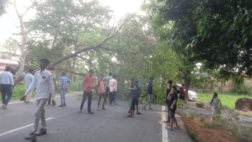 गढ़वा मझिआंव मेन रोड पर पेड़ गिर जाने की वजह से जाम,कुछ समय तक आवागवन बाधित। the voice nation