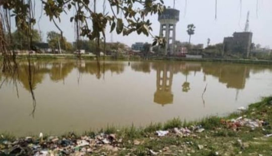 बिहार की मधुबनी में पति ने अपनी पत्नी को तालाब में डुबोकर हत्या करने की किया प्रयास