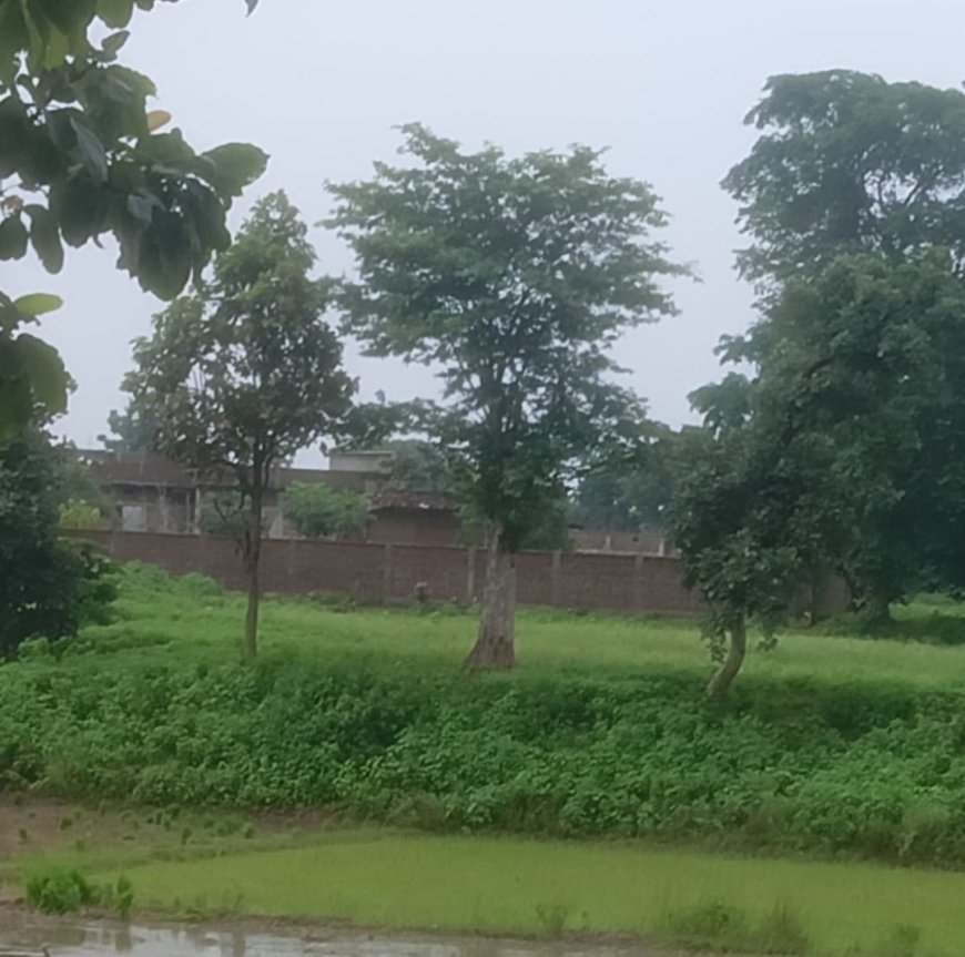 रामपुर में भूमि विवाद को लेकर दो पक्षों में हुई । मारपीट तीन घायल