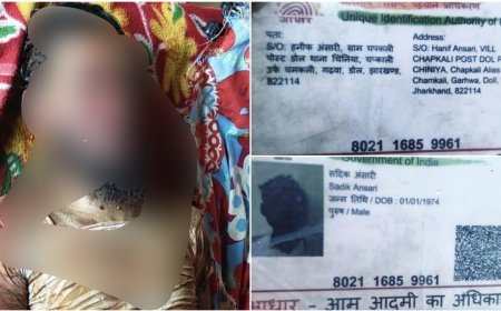 चिनिया चपकली की डोल में आधी रात को हाथी ने एक व्यक्ति को कुचल कर मार डाला