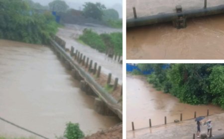 पति पत्नी की आपसी विवाद के बाद पत्नी ने जहर खा कर ,नदी में लगाई छलांग,