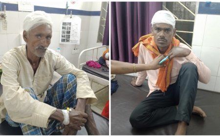 बरडीहा, सलगा में जमीन विवाद की लेकर 2 पक्षों में जमकर मारपीट ,11 लोगों से ज्यादा घायल