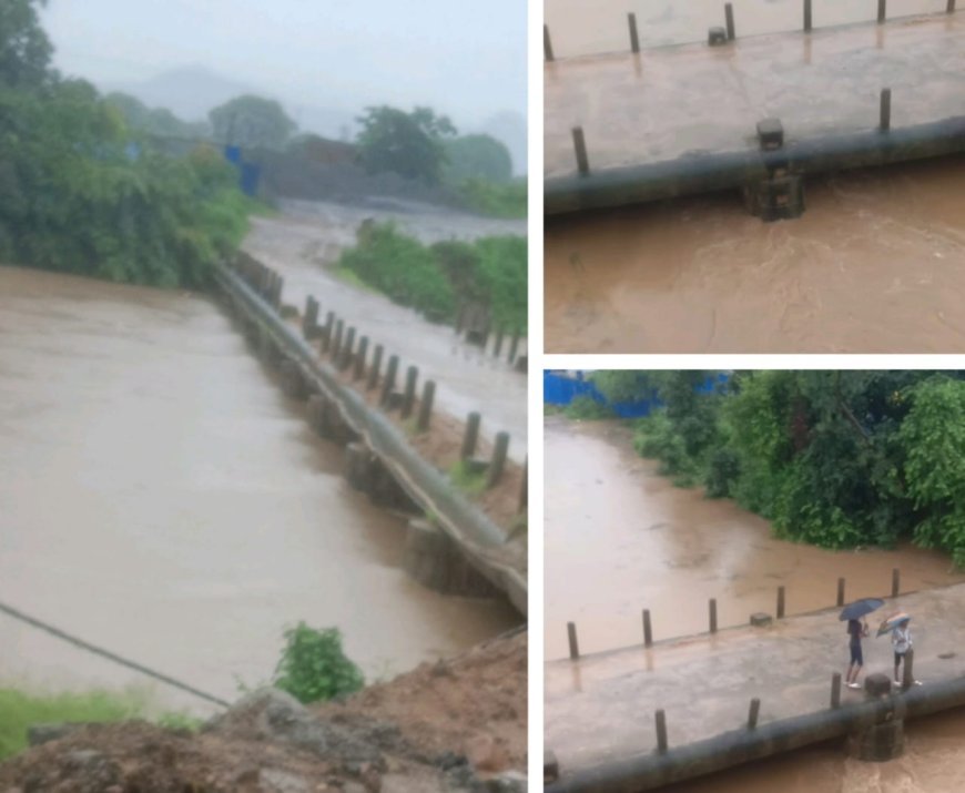 पति पत्नी की आपसी विवाद के बाद पत्नी ने जहर खा कर ,नदी में लगाई छलांग,