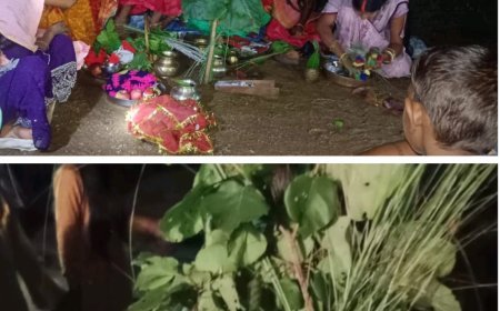 गढ़वा की विभिन्न गांवों में कर्मा पूजा की पर्व बहुत ही धूम धाम से मनाया गया।