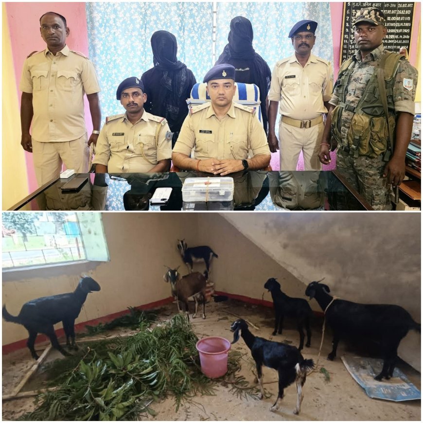 डंडई पुलिस की बड़ी करवाई गुप्त सूचना की आधार पर देशी पिस्टल के साथ दो अपराधी को किया गिरफ्तार